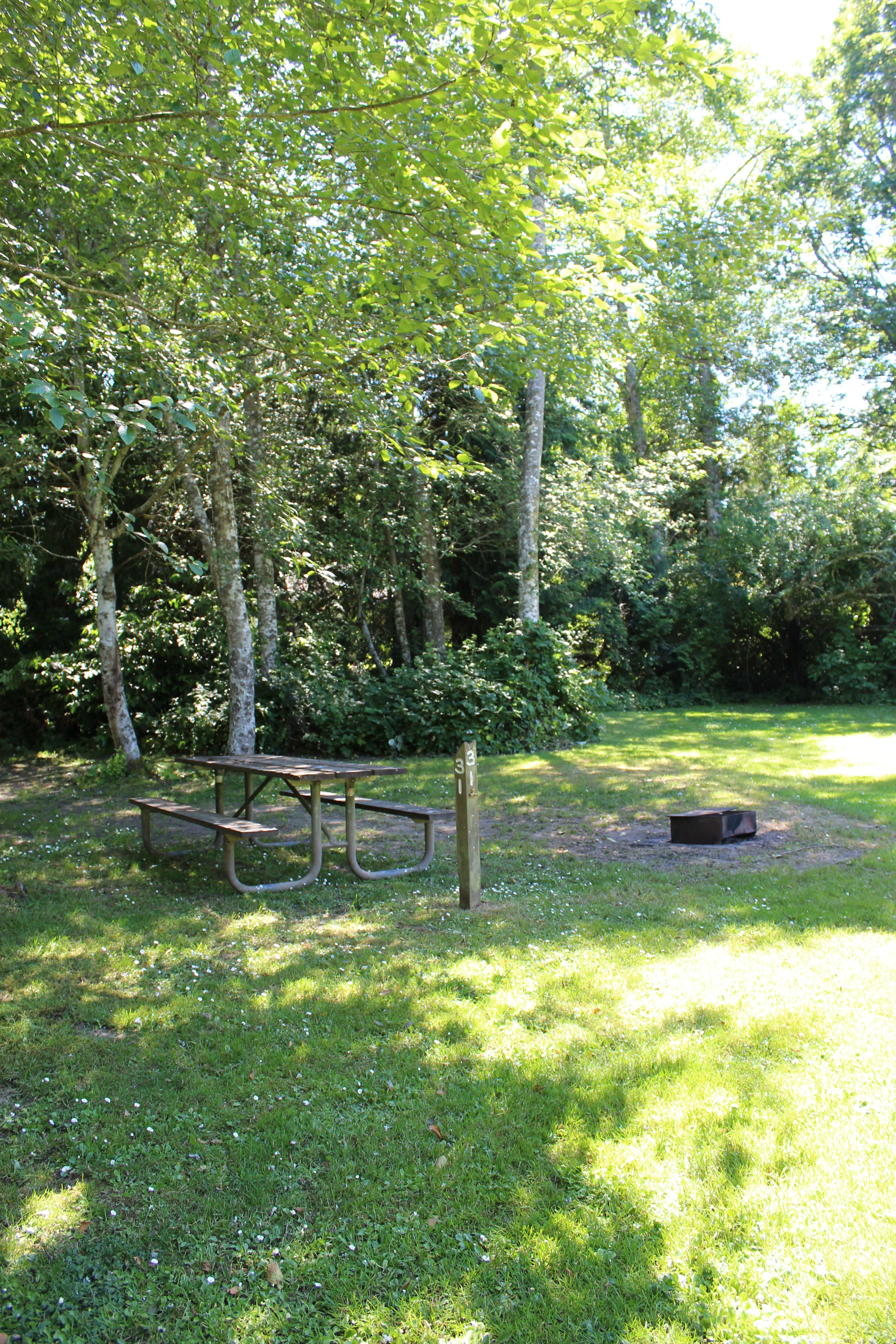 Camp Site 31