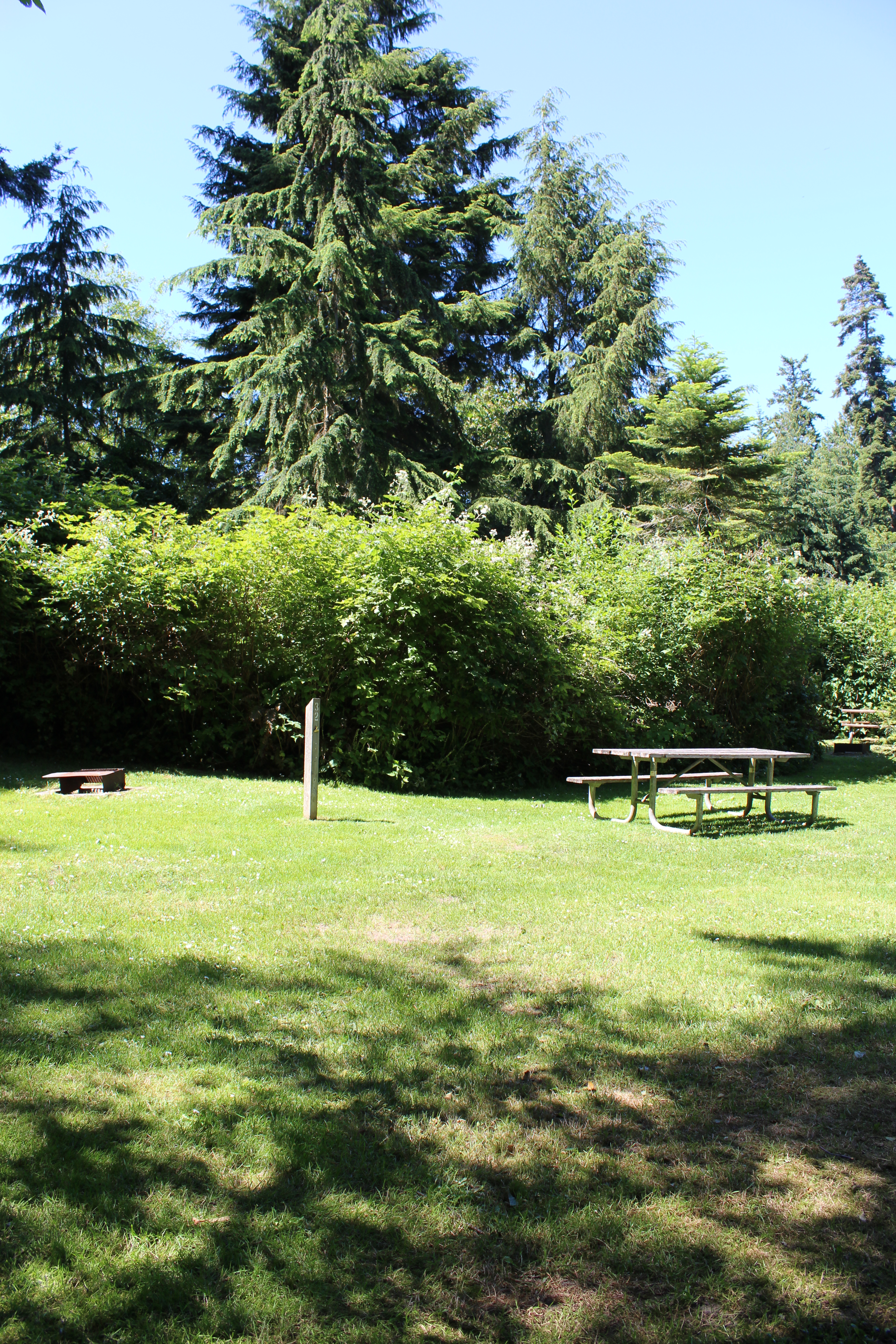 Camp Site 32