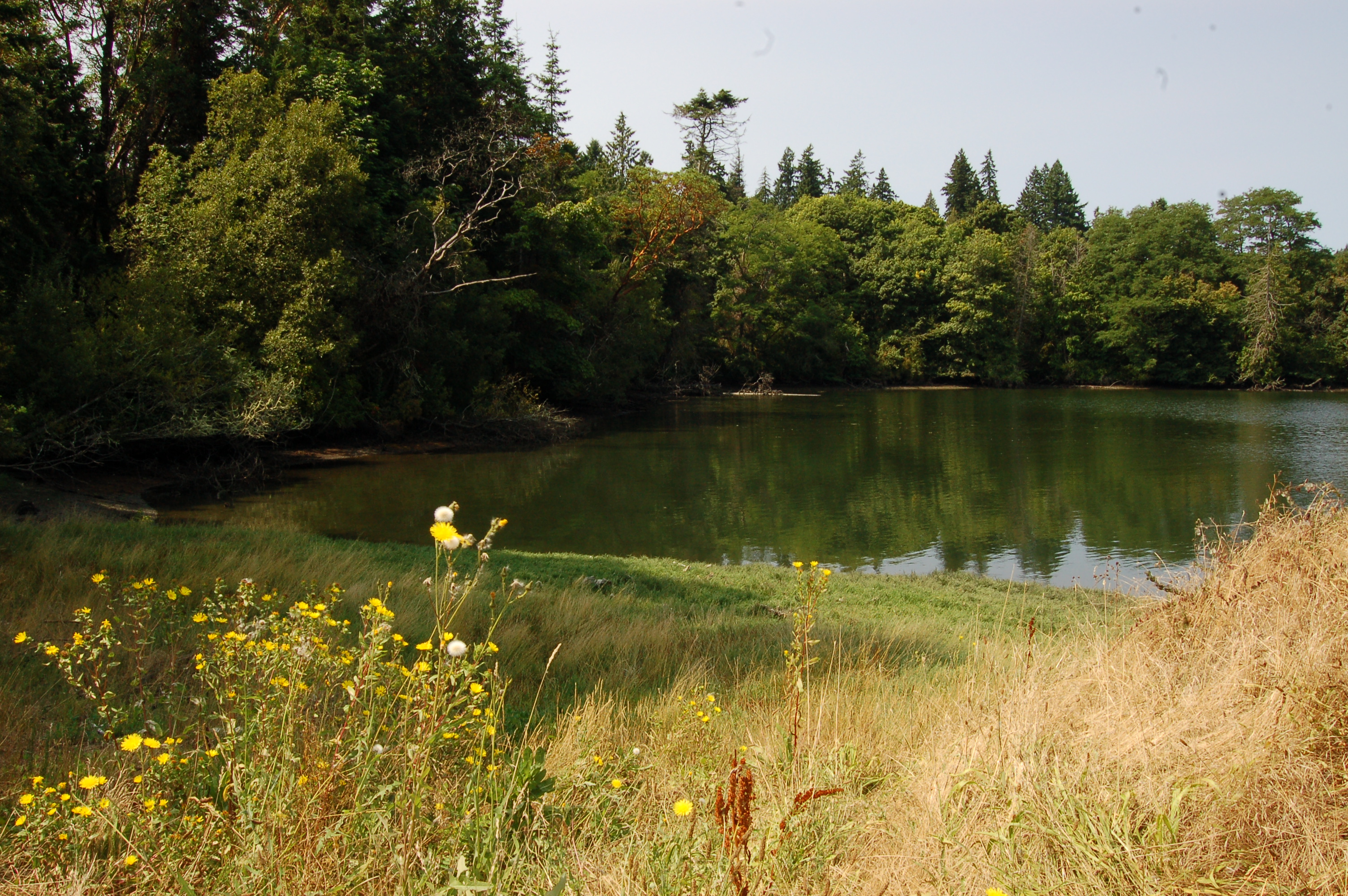 Blakely Harbor Park | Bainbridge Island Metro Park &amp; Recreation 