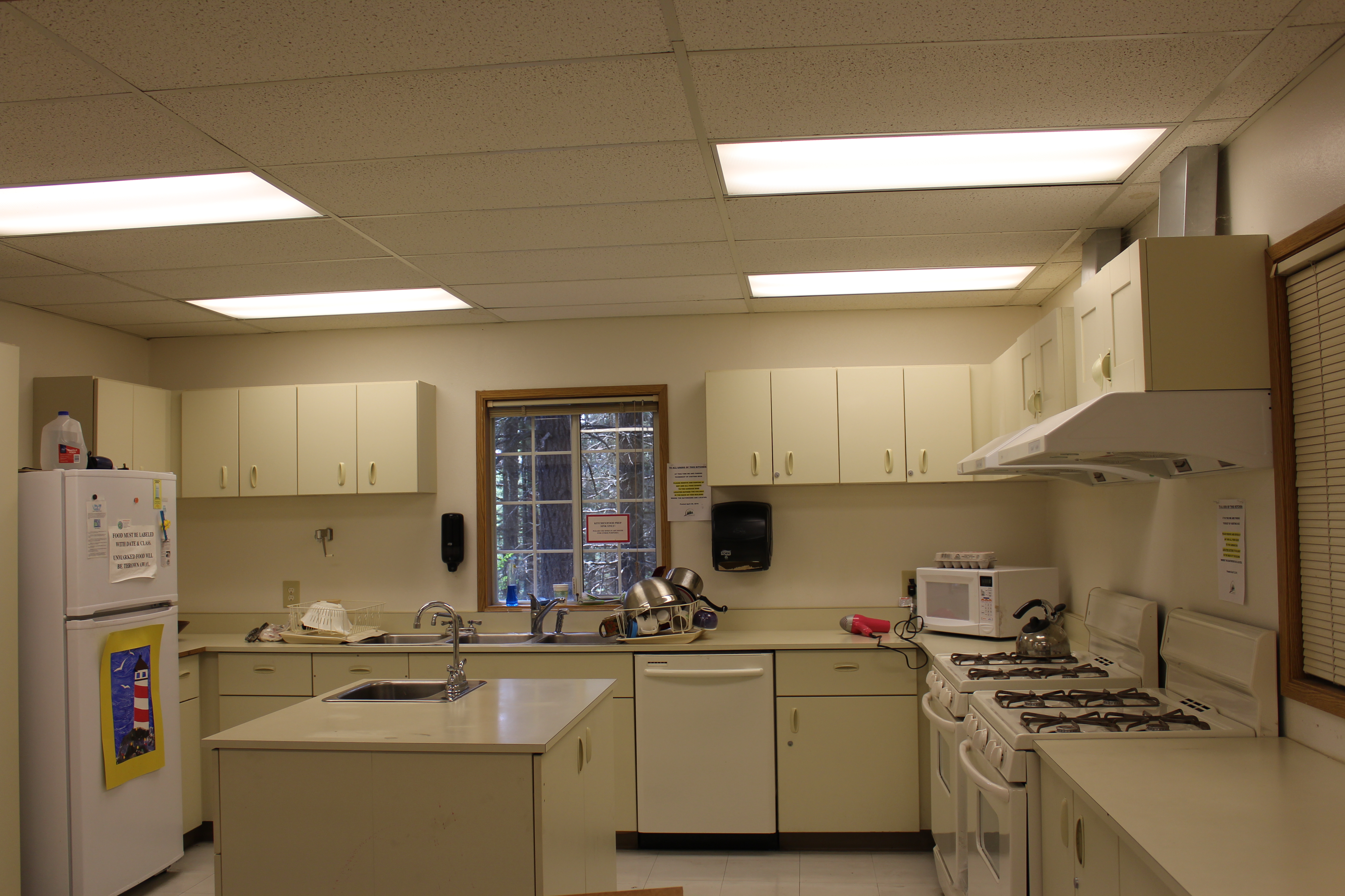 Pics of women's asses