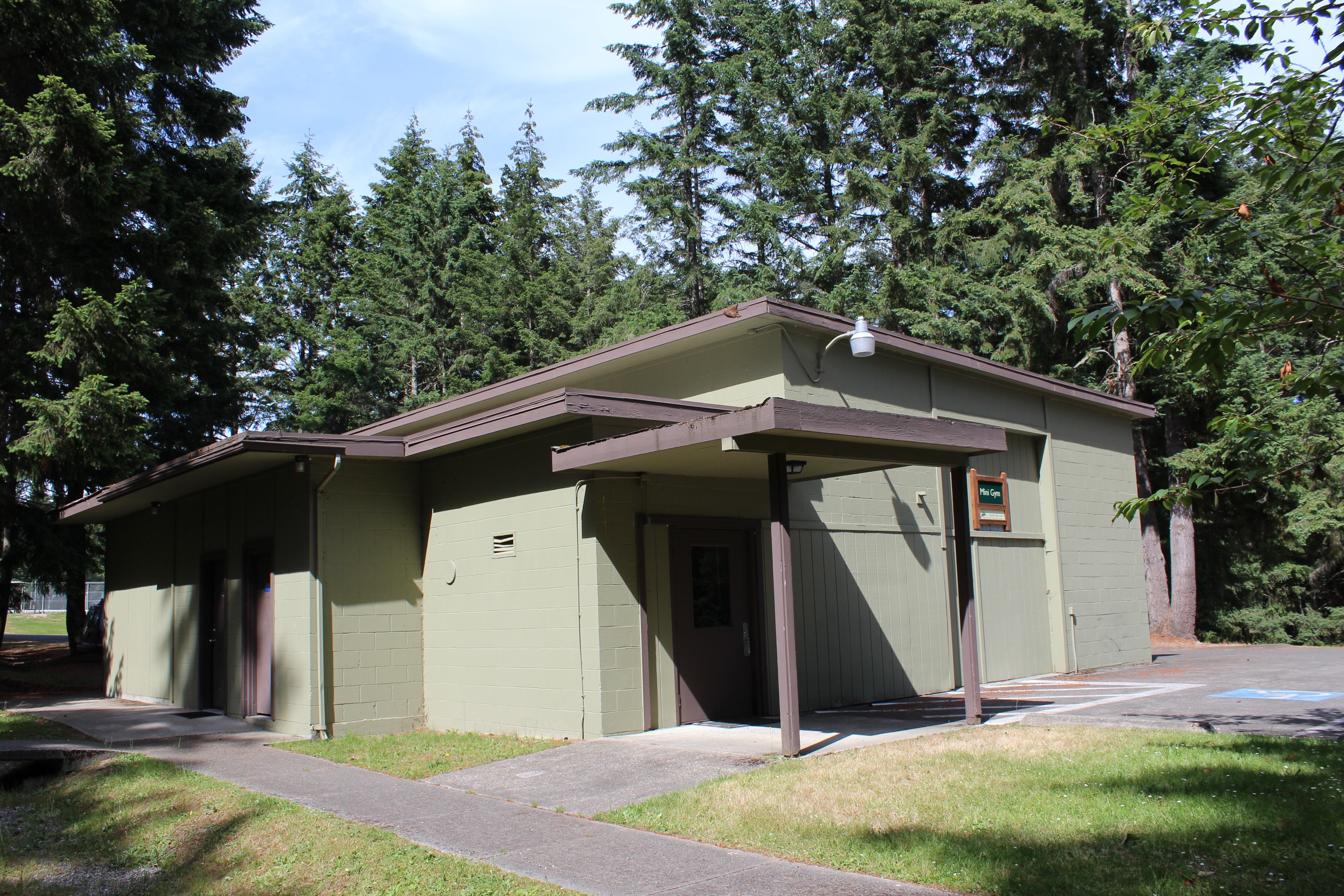 Japanese cute young milf