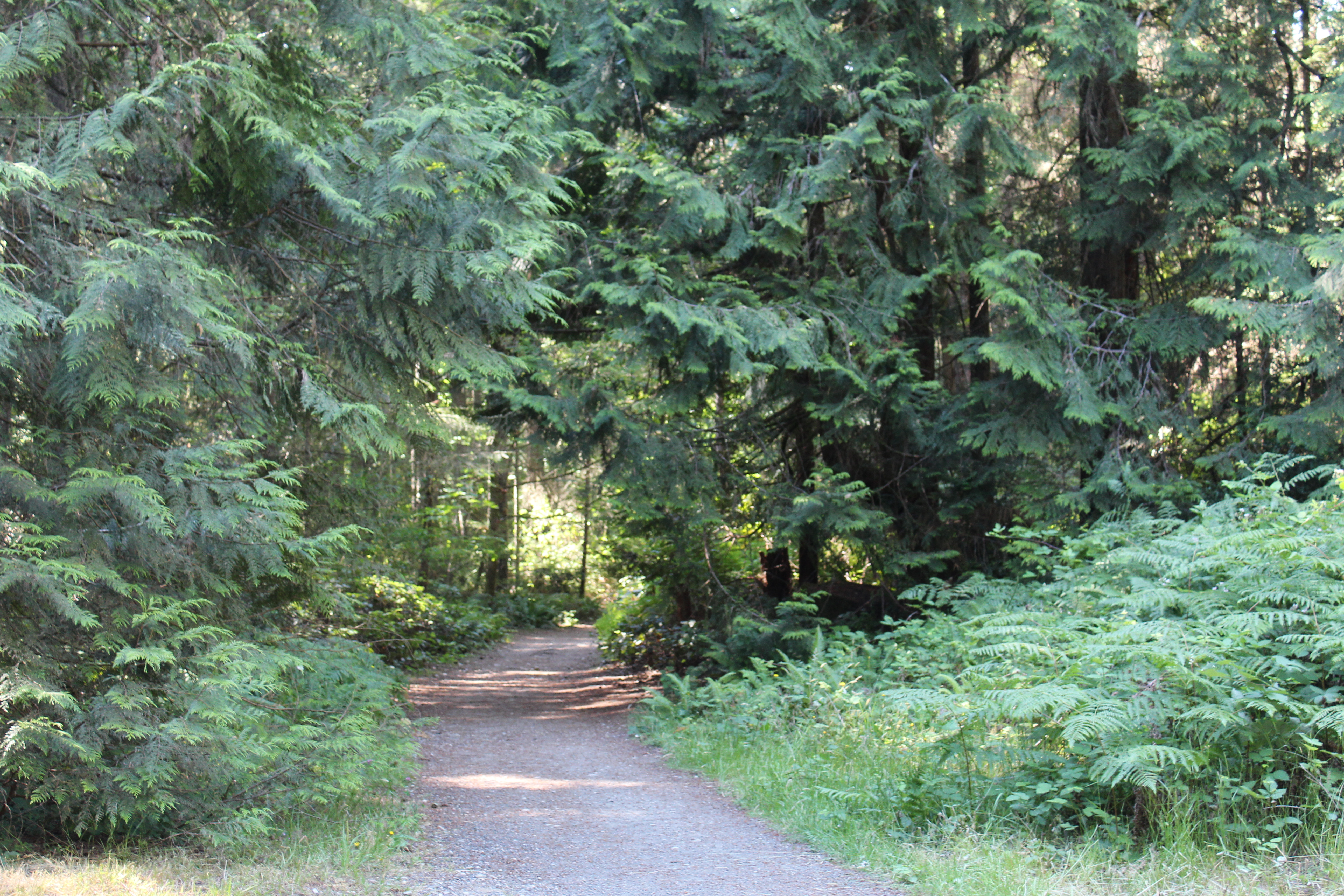 Gazzam Lake Trail Map Gazzam Lake Trail System | Bainbridge Island Metro Park & Recreation  District