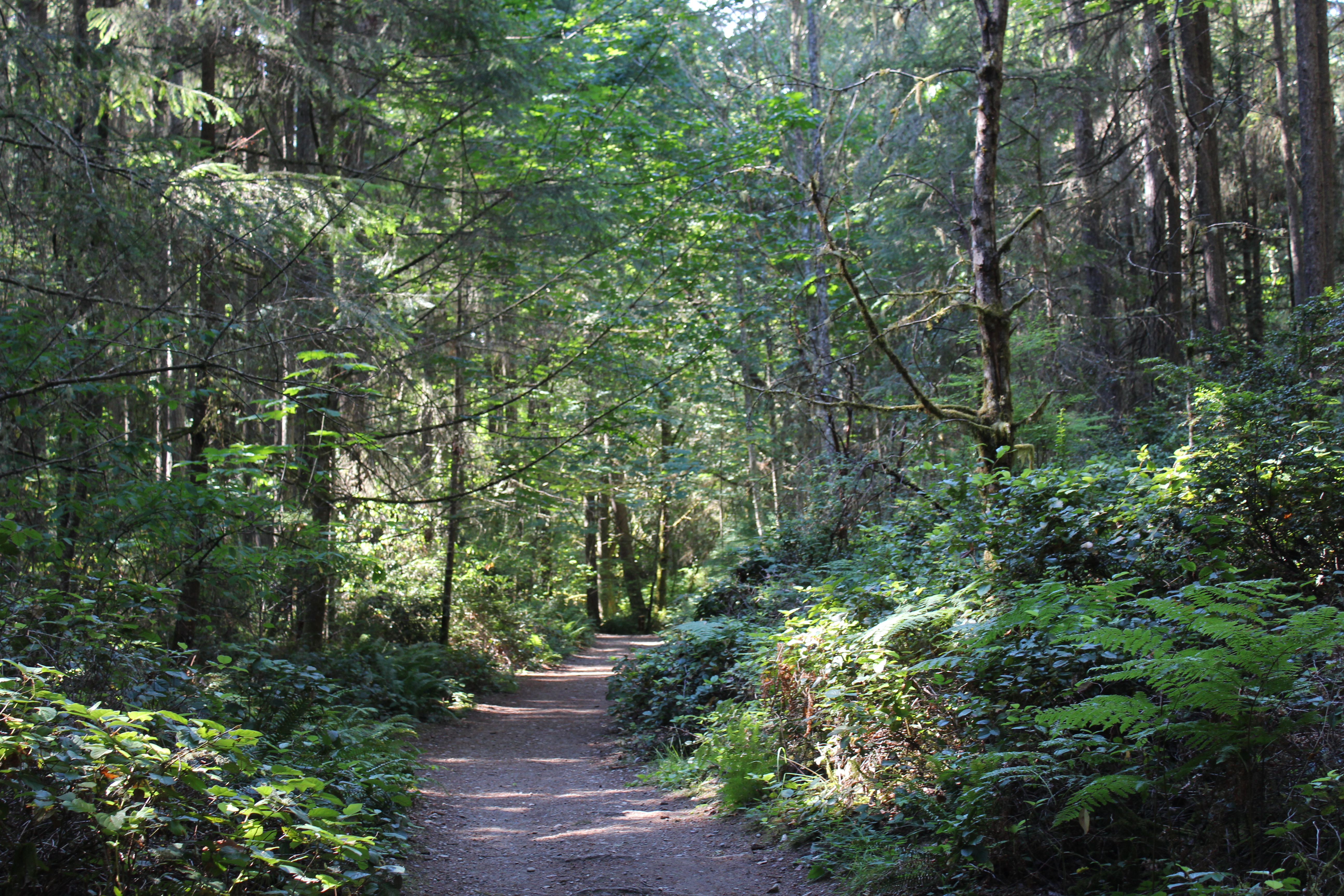 Gazzam Lake Trail Map Gazzam Lake Trail System | Bainbridge Island Metro Park & Recreation  District