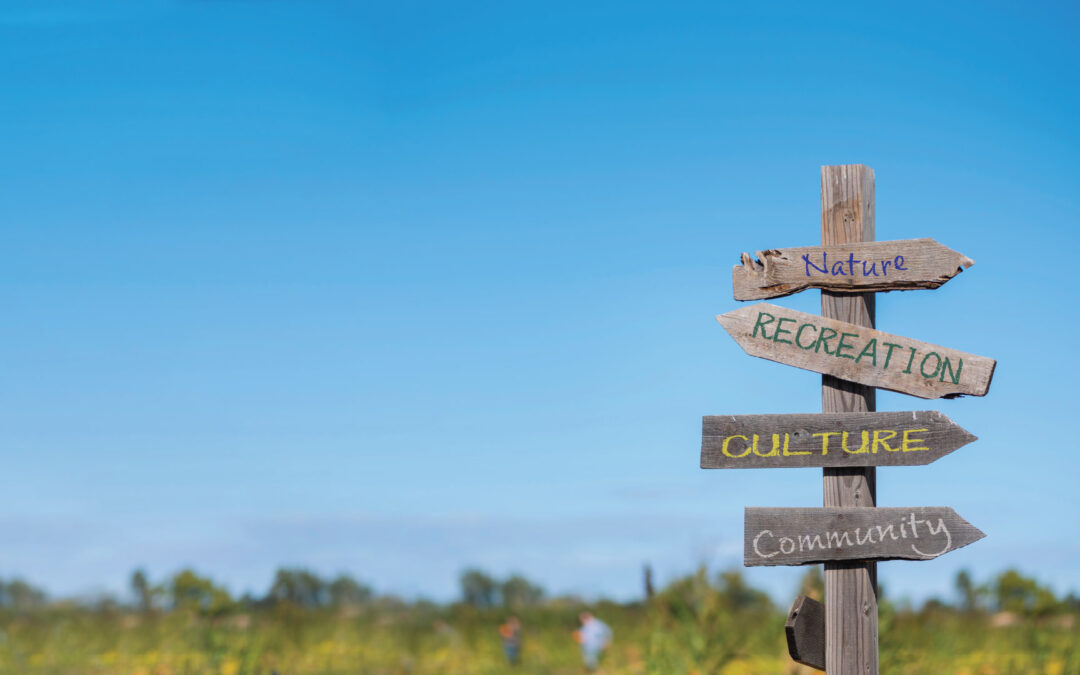 Help Guide the Way Forward!