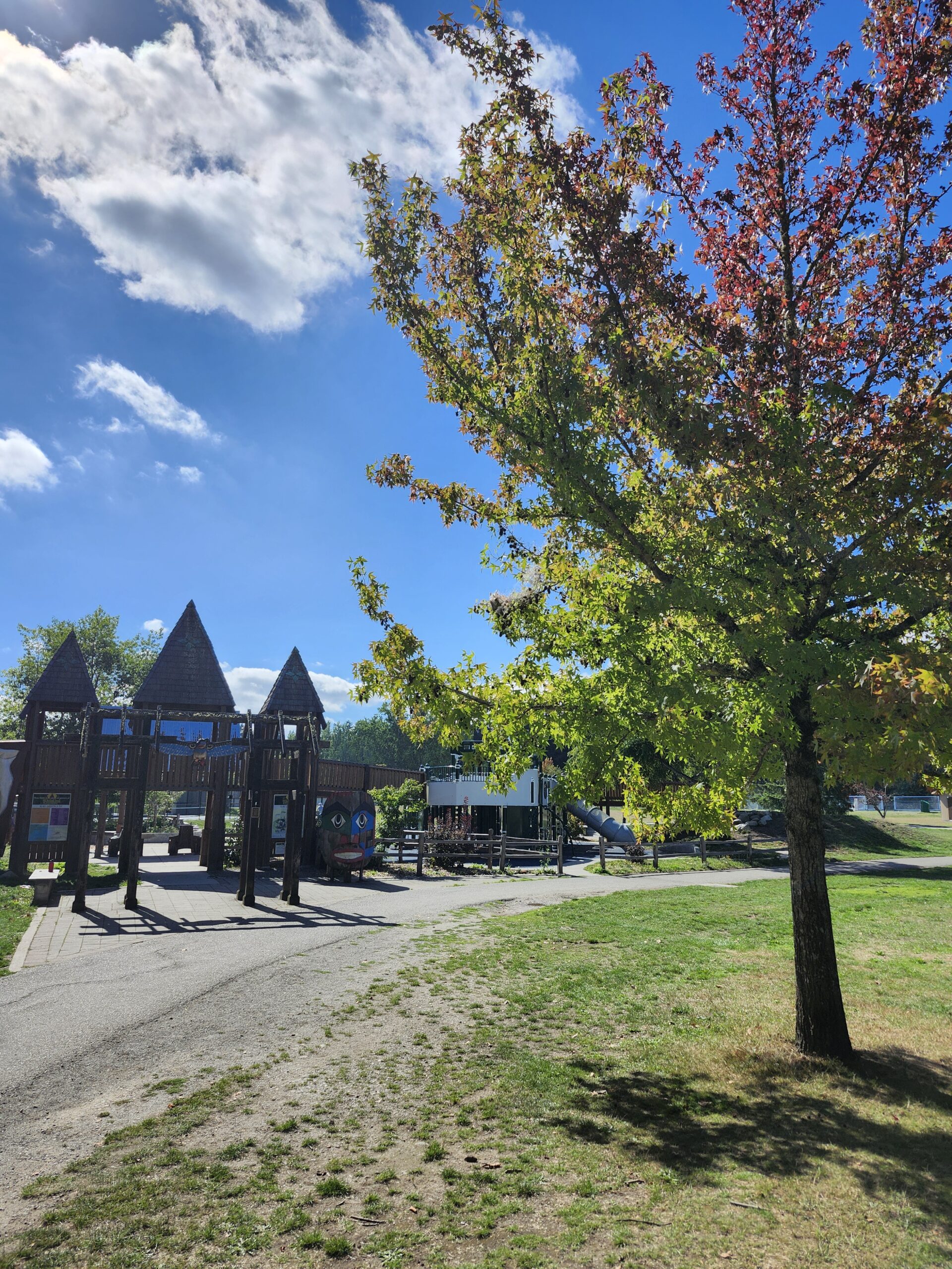 20240916_132940 Bainbridge Island Metro Park & Recreation District